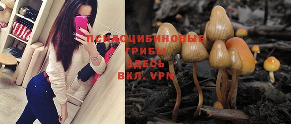 ГАЛЛЮЦИНОГЕННЫЕ ГРИБЫ Баксан