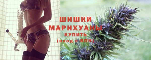 ГАЛЛЮЦИНОГЕННЫЕ ГРИБЫ Баксан