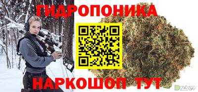 прущие грибы Кандалакша