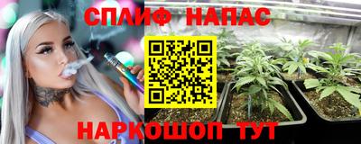 прущие грибы Кандалакша