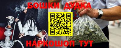 прущие грибы Кандалакша