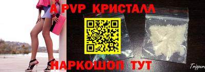 прущие грибы Кандалакша